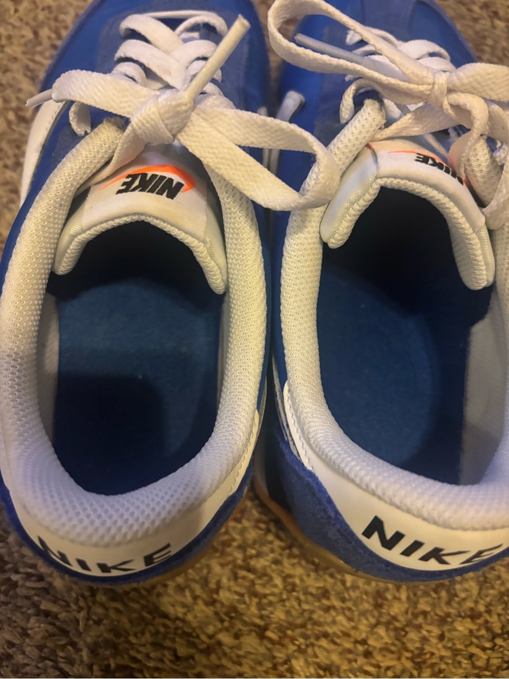 Nike Blue and White Low-Profile Running Shoes - Picture 5 of 5